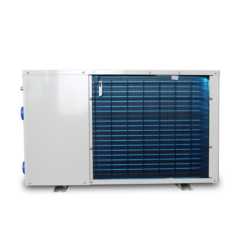 5kW/6kW/8kW/12kW/16kW/30kW R410a Swimming Pool Heat Pump Water Heater Tradition Metal
